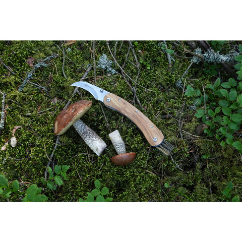 Brusletto Vedalen – svampkniv