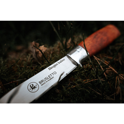 Brusletto Hunter