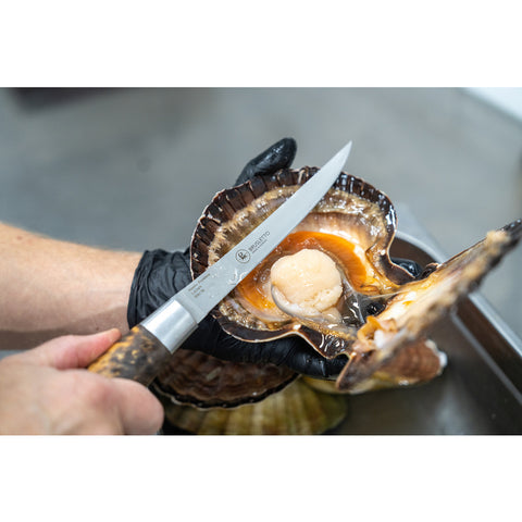 Brusletto Hunter Premium Chef – filékniv 17,6 cm